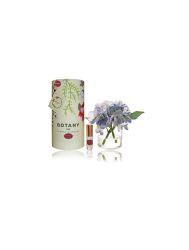 1 Blue Hydrangea & Signature Floral Fragrance Gift Set