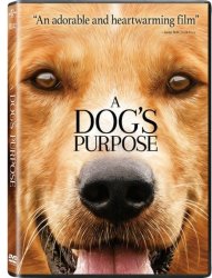 A Dog& 39 S Purpose DVD