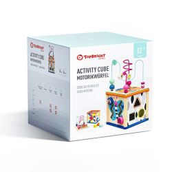 Insect-themed Activity Cube