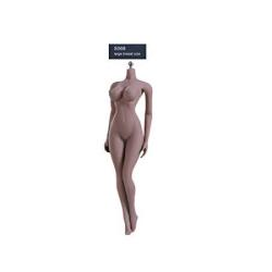 Deals on Phicen 1 6 Scale Super-flexible Female Seamless Body Series S06B, Compare Prices & Shop Online