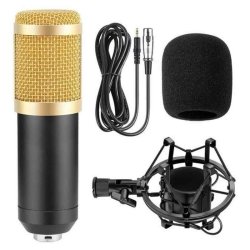 Professional Condenser Studio Microphone ST-225