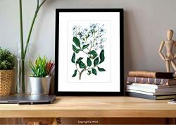 Amauncle ?08060 Wall Art With Black Frame Jasmine Watercolor Bouquet Of Spring Blossoms Green Almond Green Pale Blue Grey Dark Slate Blue For Home Decoration