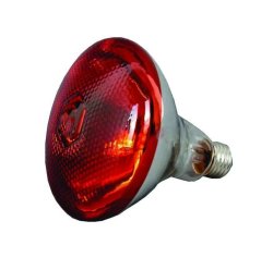Infrared Lamp 100W Red