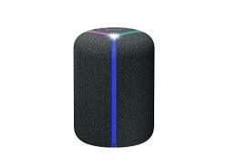 Sony XB402M Smart Speaker With Powerful Sound Extra Bass Bluetooth Wi-fi And Alexa Amazon Exclusive