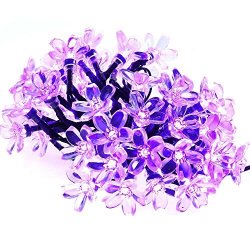Solar Qedertek String Lights 21ft 50 Led Fairy Blossom Flower Christmas Decorative Lighting For Outdoor Home Lawn Garden Wedding Patio Party And Holiday Decorations Purple