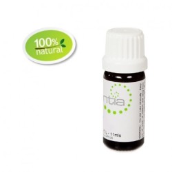 Escentia Vitamin E Oil Natural - Standardised - 10ML