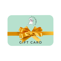 Gift Card - R 100 00