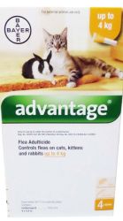 - Cat Under 4KG Orange - For Ticks & Fleas