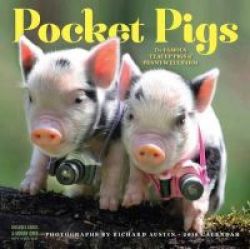 Pocket Pigs Wall Calendar 2018 Calendar