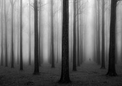 Workart Curated Photographic Canvas - In A Fog By Jochen Bongaerts