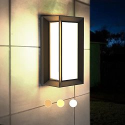 black exterior wall sconce