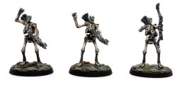 The Elder Scrolls: Call To Arms - Skeleton Horde Resin Miniatures