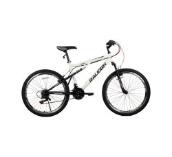 raleigh 24 alpine 4.2 mountain bike