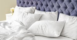 Bulk Pack 10 - Standard Pillow Cases - T200 Cotton - Plain - White