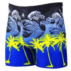 Plus Size Men Summer Coconut Tree Printing Nylon Boxer Swimming Trunks