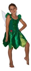Tinkerbell Fairy Dress And Wings