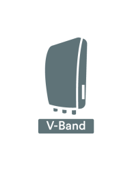Ip Cameras