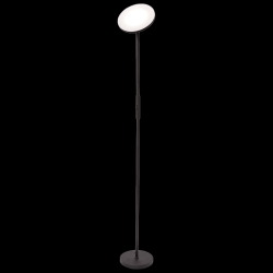 Walkingpad LED Floor Stand Lamp