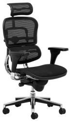 Original Ergohuman Ergonomic Office Chair