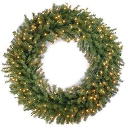 National Tree - Drop Ship National Tree 48 Inch Norwood Fir Wreath With 200 Clear Lights NF-48WLO