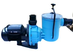 Pool Pump And Motor 1.1KW Rapid By Eartheco - Pps Online