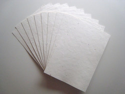 Growing Paper - Pack Of 5 Plain A4 Sheets - Mixed Herbs