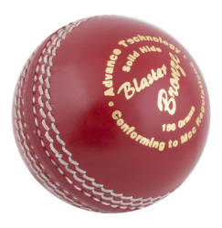 Blaster Bronze Cricket Ball