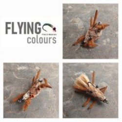 Product image - {main}