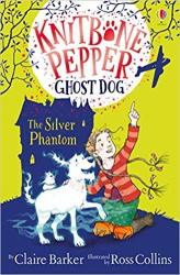 Knitbone Pepper And The Silver Phantom Paperback