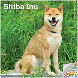 Shiba Inu Calendar 2020 ?? Japanese Shiba Inu Wall Calendar Bundle With Over 100 Calendar Stickers