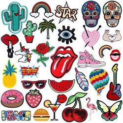 Patch 31PCS Assorted Styles Embroidered Sew On/Iron On Patches Applique  Clothes Dress Plant Hat Jeans Sewing Flowers Applique DIY Accessory (RF-98)  …