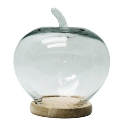 Deals on Apple Display Glass Dome 27X24CM | Compare Prices & Shop ...