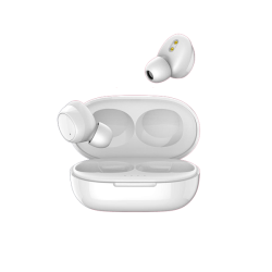 Earbuds T1