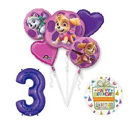 Anagram Paw Patrol Skye & Everest 3RD Birthday Party Balloons Decoration Supplies Chase Ryder By Mayflower Products