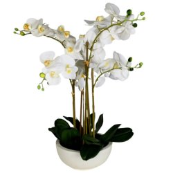Faux White Orchid In Pot Sotran Dekorativ