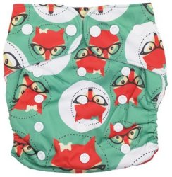 All-in-one Cloth Nappy - Foxy