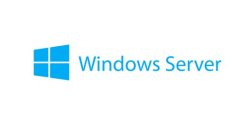 Lenovo Microsoft Windows Server 2019 Client Access License 1 User
