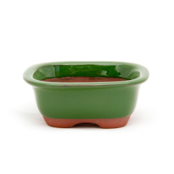Willow Potteries Mame Bonsai Pots - Rounded Rectangular Green 8.5 X 7.5 X 3.5cm