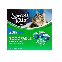 Special Kitty Multiple Cat Clumping Cat Litter 28 Lbs Outdoor Fresh Scent Hard Clumping And Easy Scooping Pack Of 4