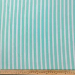 Printed Polar Duckegg-stripe Fabric DSN67