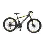 totem 21 speed mountain bike