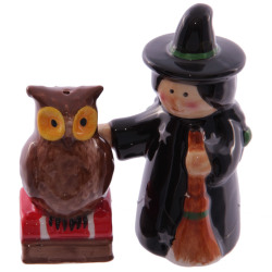 Witch And Owl Salt And Pepper Set