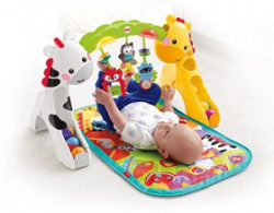 Fisher-price: Fp Newborn To Toddler Play Gym