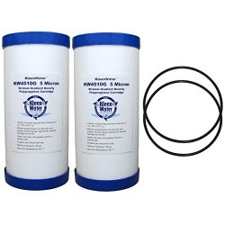 KleenWater Ge GXWH30C GXWH35F GXWH40L Compatible Filter And WS03X10039 O-ring Replacement O-rings And Dirt Rust Sediment Cartridges For General Electric Systems 2 Orings 2