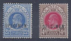 Natal 1902 Kevii 2 Halfd And 4d Overprinted Specimen Fine Mint