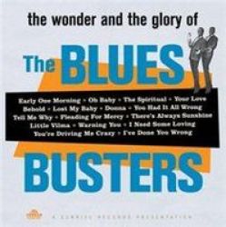 The Wonder And Glory Of The Blues Busters Vinyl Record