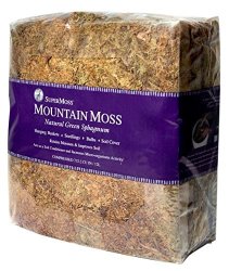 Super Moss 26912 Spanish Moss Preserved, Grass, 8oz (200 Cubic inch) (2)