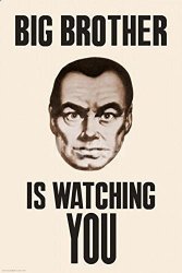 Big BrOther Is Watching You 1984 Poster 24 X 36IN