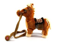 my walking pony walk along