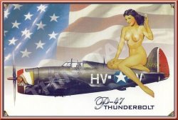 P47 Thunderbolt Vintage Metal Sign